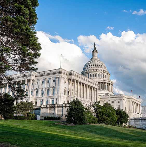 washington dc tours