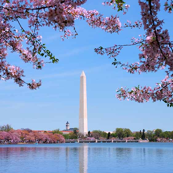 washington dc tours